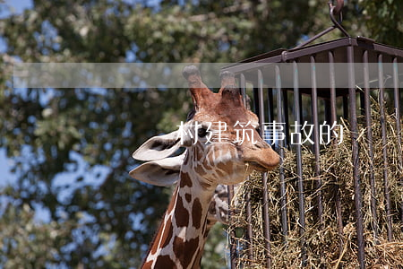 淺談農村建筑事故的賠償