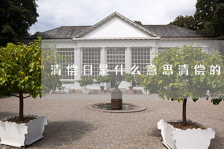 清偿日是什么意思(清偿的意思)