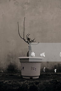清城區(qū)債務(wù)違約律師 清城區(qū)債務(wù)違約律師