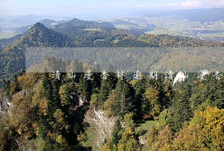 清山漫香林逾期(清山漫香林属于塌陷区么)
