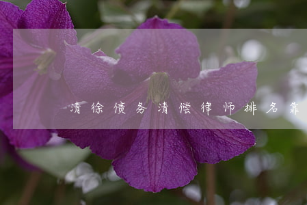 清徐债务清偿律师排名靠前