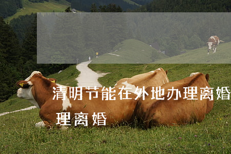 清明节能在外地办理离婚吗(外地可不可以办理离婚)