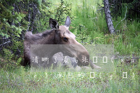 清晰了！最高法：勞務(wù)分包和專業(yè)承包的區(qū)別+工程轉(zhuǎn)包與專業(yè)承包的區(qū)別