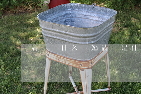 清歡為什么離婚(清歡是什么呢)