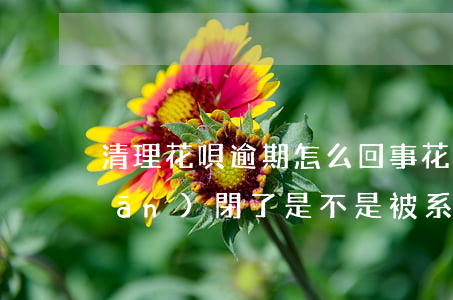 清理花唄逾期怎么回事(花唄逾期被關(guān)閉了,是不是被系統(tǒng)清零了)