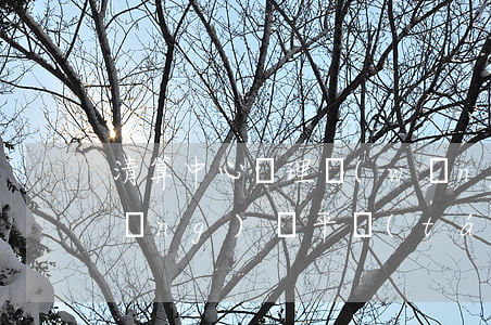 清算中心處理網(wǎng)貸逾期(網(wǎng)貸平臺(tái)清退完成后怎么處理)