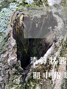 清算狀態(tài)的企業(yè)還會逾期申報嗎-清算狀態(tài)的企業(yè)還會逾期申報嗎知乎