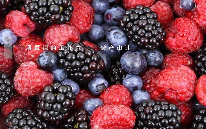 清算组的工作（六）——破产审计