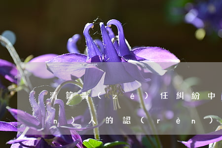 清算責(zé)任糾紛中已知債權(quán)人的認(rèn)定標(biāo)準(zhǔn)