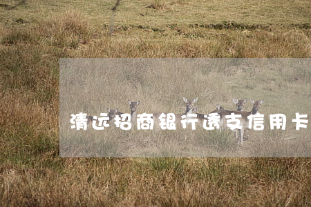 清远招商银行透支信用卡