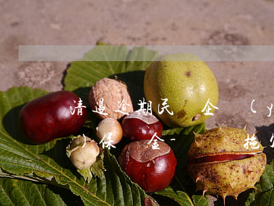 清退逾期民營企業(yè)中小企業(yè)保證金-違約拖欠民營企業(yè)中小企業(yè)款項登記(投訴)平臺