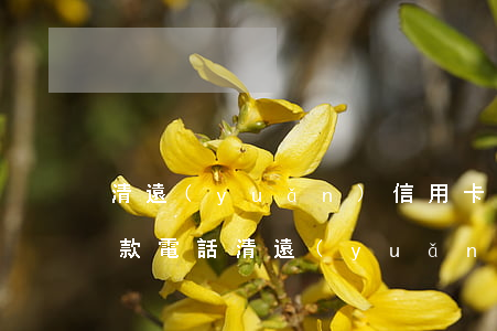 清遠(yuǎn)信用卡協(xié)商還款電話（清遠(yuǎn)信用卡協(xié)商還款）