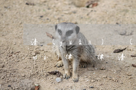清遠(yuǎn)債權(quán)債務(wù)律師華律-清遠(yuǎn)追債公司電話