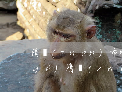 清鎮(zhèn)市婚姻案律師哪家專業(yè)(清鎮(zhèn)市律師咨詢電話)