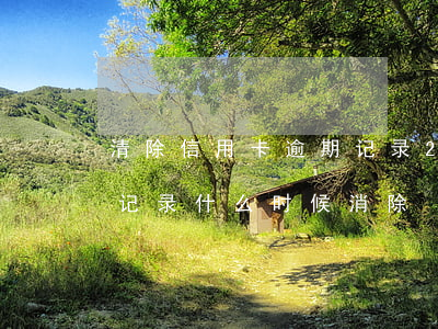 清除信用卡逾期记录 2016年信用卡逾期记录什么时候消除