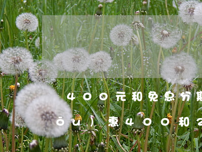 減400元和免息分期一年怎么選-優(yōu)惠400和24期免息哪個劃算