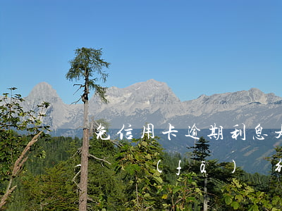 減免信用卡逾期利息是真的嗎廣發(fā)-廣發(fā)銀行減免利息成功