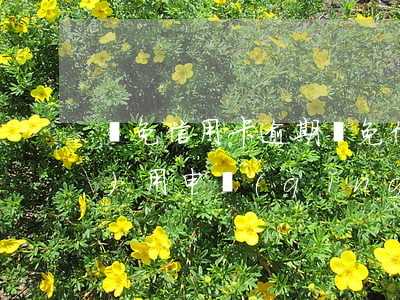 減免信用卡逾期(減免信用卡逾期費(fèi)用申請(qǐng)書怎么寫)