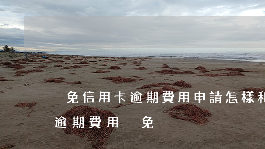 減免信用卡逾期費用申請(怎樣和銀行信用卡逾期費用減免)