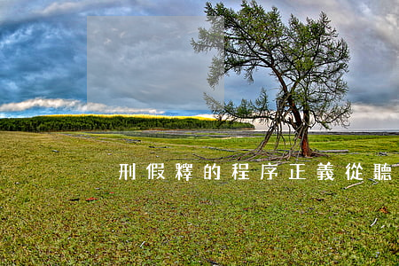 減刑假釋的程序正義從聽證開始