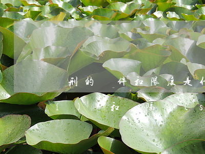 減刑的條件和限度是什么（減刑起始時(shí)間和間隔時(shí)間）