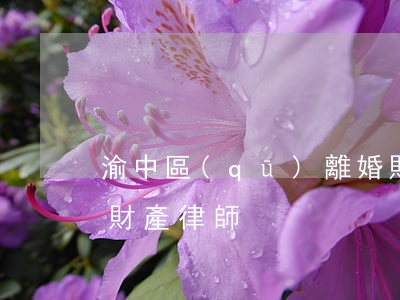 渝中區(qū)離婚財產分割律師(重慶婚姻財產律師)