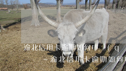 渝北信用卡逾期如何申請(qǐng)停息掛賬-渝北信用卡逾期如何申請(qǐng)停息掛賬業(yè)務(wù)