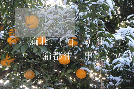 渝北區(qū)律師事務(wù)所位置(重慶渝都律師事務(wù)所)