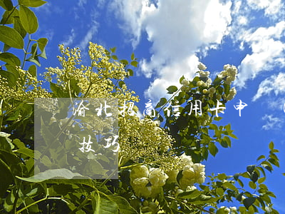 渝北招商信用卡申請(qǐng)停息掛賬技巧