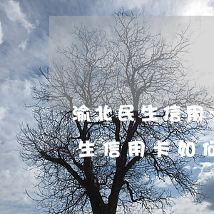 渝北民生信用卡如何申請停息掛賬-渝北民生信用卡如何申請停息掛賬業(yè)務