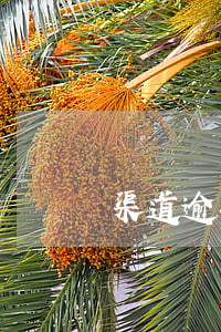 渠道逾期率(銷售逾期率)