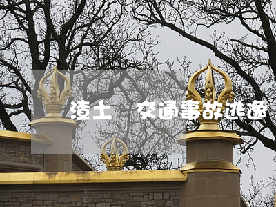 渣土車交通事故逃逸