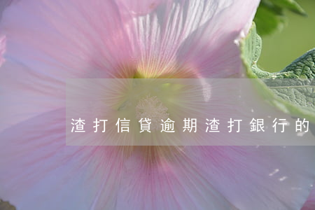 渣打信貸逾期(渣打銀行的貸款 可靠嗎)