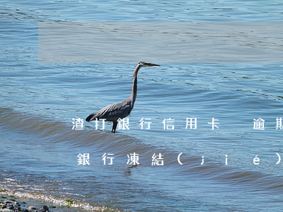 渣打銀行信用卡沒逾期凍結(jié)(渣打銀行凍結(jié)了我的銀行卡)