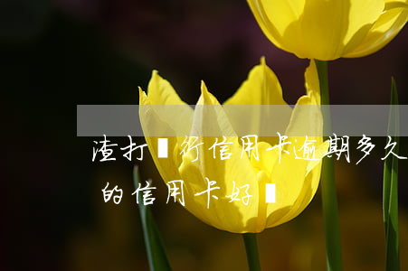 渣打銀行信用卡逾期多久會被拒-渣打銀行的信用卡好嗎