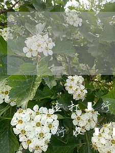 渣打銀行信用卡逾期手續(xù)費(渣打銀行收費標(biāo)準(zhǔn))
