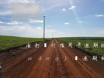 渣打銀行信用卡逾期被凍結(jié)(網(wǎng)貸逾期把信用卡凍結(jié)了)