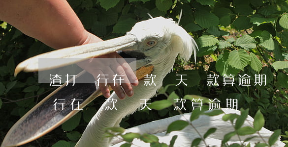 渣打銀行在還款當天還款算逾期嗎-渣打銀行在還款當天還款算逾期嗎