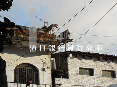 渣打銀行貸款利率