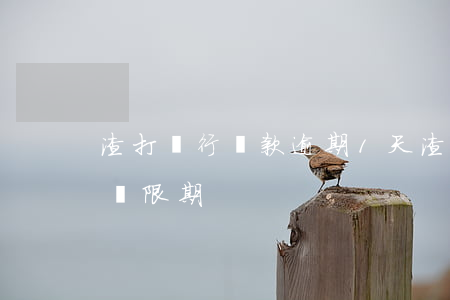 渣打銀行貸款逾期1天(渣打銀行貸款有幾天寬限期)