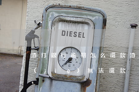 渣打銀行逾期怎么還款(渣打銀行信用卡凍結(jié)無法還款)