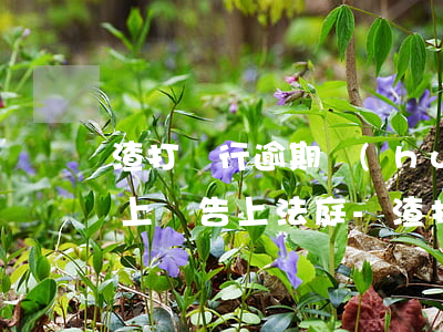 渣打銀行逾期會(huì)不會(huì)上門告上法庭-渣打銀行貸款逾期
