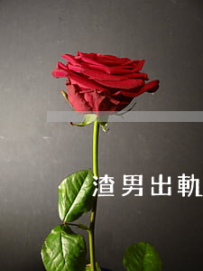 渣男出軌又不肯離婚
