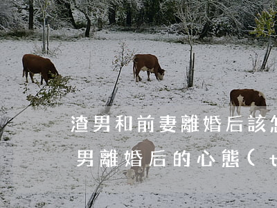 渣男和前妻離婚后該怎樣對(duì)待(渣男離婚后的心態(tài))