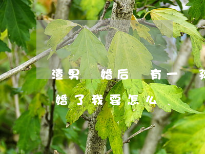 渣男離婚后還有一個孩子怎么辦(遇到渣男離婚了,我要怎么辦?)