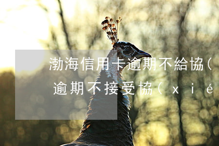 渤海信用卡逾期不給協(xié)商(信用卡逾期不接受協(xié)商怎么辦)