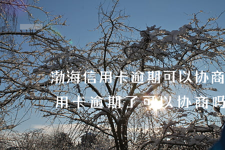 渤海信用卡逾期可以协商还款吗(4大银行信用卡逾期了可以协商吗?)