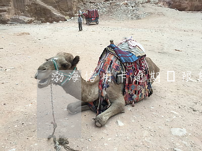 渤海信用卡逾期寬限期(渤海銀行寬限期)
