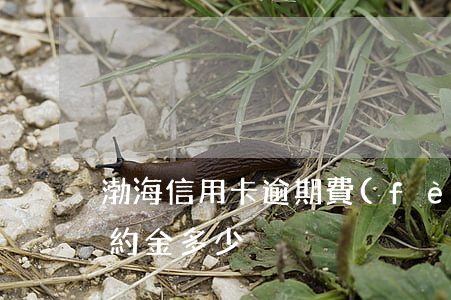 渤海信用卡逾期費(fèi)用(渤海銀行違約金多少)