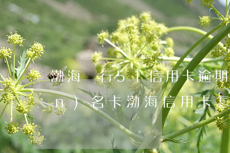 渤海銀行51信用卡逾期了(51聯(lián)名卡渤海信用卡怎么樣)